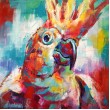 Cockatoo